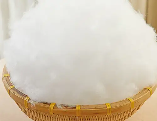 PP cotton