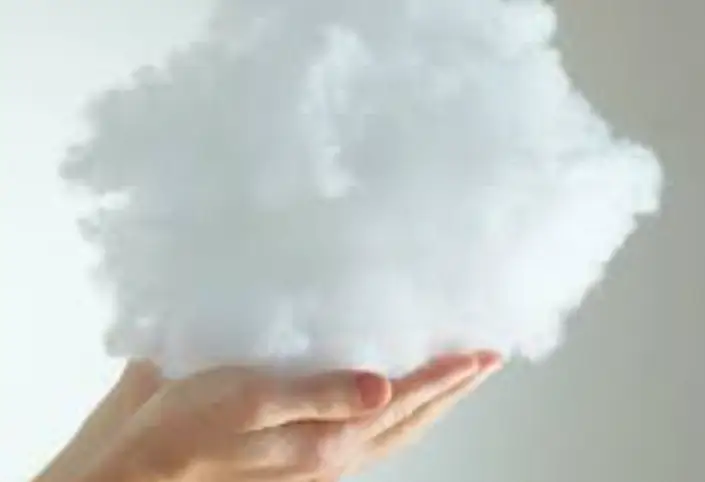 plush toys filling material